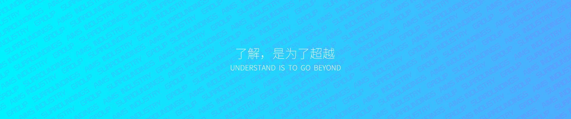 洞见